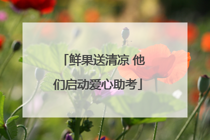 鲜果送清凉 他们启动爱心助考