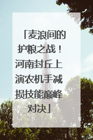 麦浪间的护粮之战！河南封丘上演农机手减损技能巅峰对决