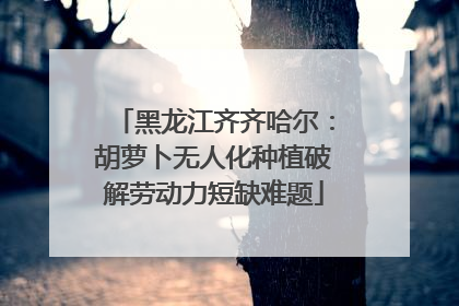 黑龙江齐齐哈尔：胡萝卜无人化种植破解劳动力短缺难题