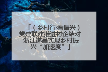 （乡村行·看振兴）党建联建推进村企结对 浙江遂昌实现乡村振兴“加速度”
