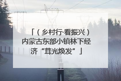（乡村行·看振兴）内蒙古东部小镇林下经济“茸光焕发”