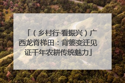 （乡村行·看振兴）广西龙脊梯田：背篓变迁见证千年农耕传统魅力