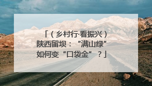 （乡村行·看振兴）陕西留坝：“满山绿”如何变“口袋金”？