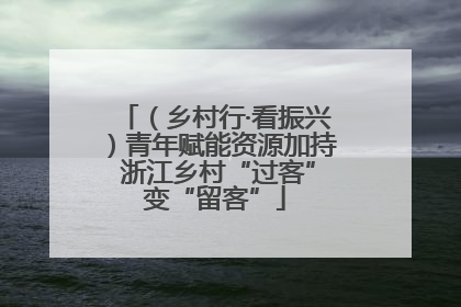 （乡村行·看振兴）青年赋能资源加持 浙江乡村“过客”变“留客”