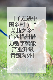 （走进中国乡村）“茉莉之乡”广西横州借力数字智能 产业升级香飘海外