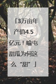 3万亩年产值4.5亿元！喻屯甜瓜为何这么“甜”