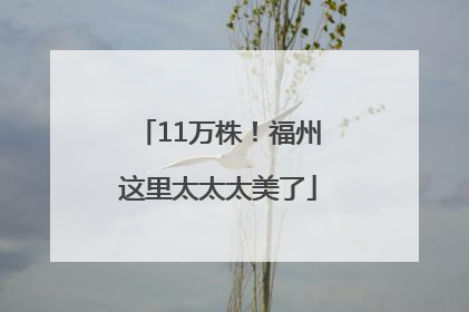 11万株！福州这里太太太美了