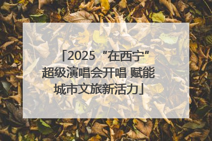 2025“在西宁”超级演唱会开唱 赋能城市文旅新活力