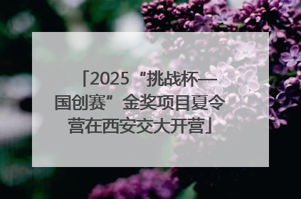 2025“挑战杯—国创赛”金奖项目夏令营在西安交大开营