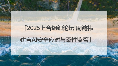 2025上合组织论坛 周鸿祎建言AI安全应对与柔性监管