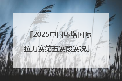 2025中国环塔国际拉力赛第五赛段赛况
