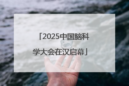 2025中国脑科学大会在汉启幕