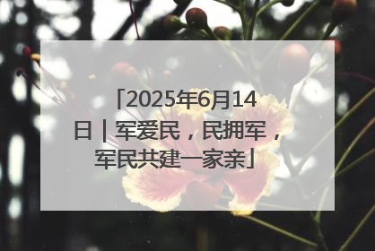 2025年6月14日｜军爱民，民拥军，军民共建一家亲