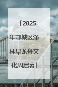 2025年鄂城区泽林旱龙舟文化周启幕