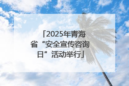2025年青海省“安全宣传咨询日”活动举行