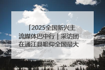 2025全国新兴主流媒体巴中行｜采访团在通江县瞻仰全国最大红军烈士陵园