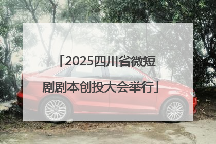 2025四川省微短剧剧本创投大会举行