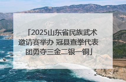 2025山东省民族武术邀请赛举办 冠县查拳代表团勇夺三金二银一铜