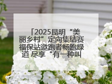 2025昆明“美丽乡村”定向集结赛福保站邀跑者畅跑绿道 尽享“有一种叫云南的生活”