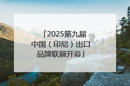 2025第九届中国（印尼）出口品牌联展开幕