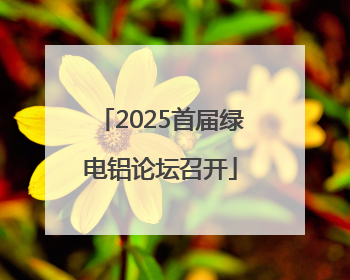 2025首届绿电铝论坛召开