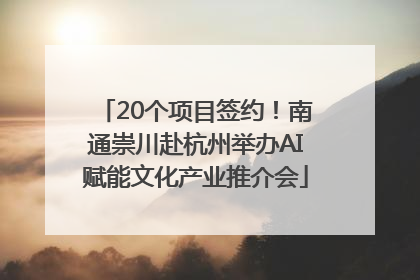 20个项目签约！南通崇川赴杭州举办AI赋能文化产业推介会