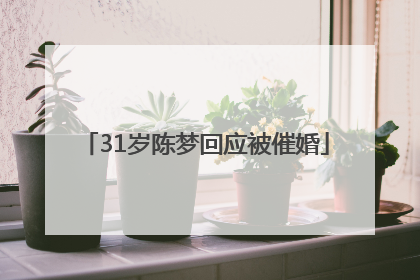 31岁陈梦回应被催婚