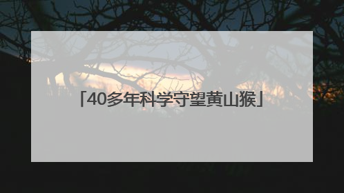 40多年科学守望黄山猴
