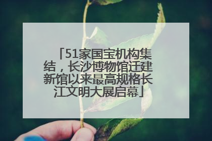 51家国宝机构集结，长沙博物馆迁建新馆以来最高规格长江文明大展启幕