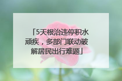 5天根治违停积水顽疾，多部门联动破解居民出行难题