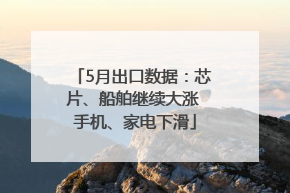 5月出口数据：芯片、船舶继续大涨 手机、家电下滑