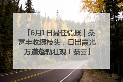 6月1日最佳情报｜桑葚丰收缀枝头，日出霞光万道蓬勃壮观！恭喜