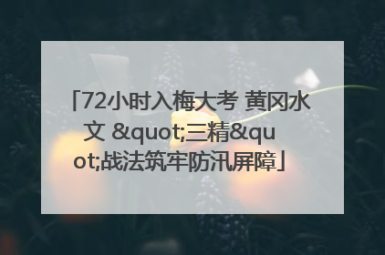 72小时入梅大考 黄冈水文 "三精"战法筑牢防汛屏障