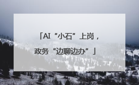 AI“小石”上岗，政务“边聊边办”