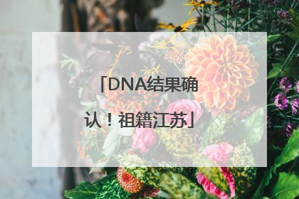 DNA结果确认！祖籍江苏
