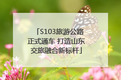 S103旅游公路正式通车 打造山东交旅融合新标杆